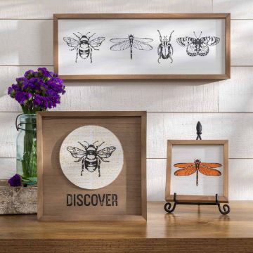 Show details for Etched Bugs A wooden wall displays framed insect illustrations. The top frame shows a bee, dragonfly, beetle, and moth sketches. In the middle, a bee illustration with "DISCOVER" written below. The smallest frame, held by a stand, showcases an orange dragonfly. Purple flowers in a jar are placed to the left.