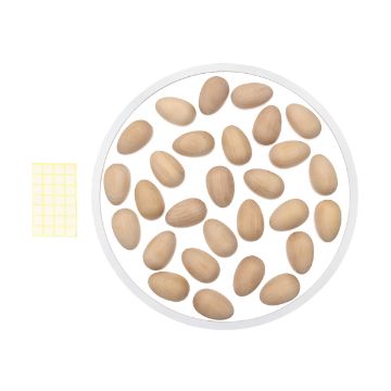 Show details for Egg Wreath A circular white dish contains multiple brown eggs. To the left of the dish, there is a yellow grid pattern on white paper. The entire setup is placed on a plain white background.