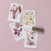 Four illustrated floral cards are arranged on a light pink background. Each card features a different flower design in red and gold tones, accompanied by a wooden stamp.