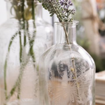 Show details for Armour Etch® Glass Etching Cream Close-up of two clear glass bottles with etched floral patterns. One bottle holds a sprig of lavender, while the other is in the background, partially visible. The scene is softly lit, creating a serene and delicate atmosphere.