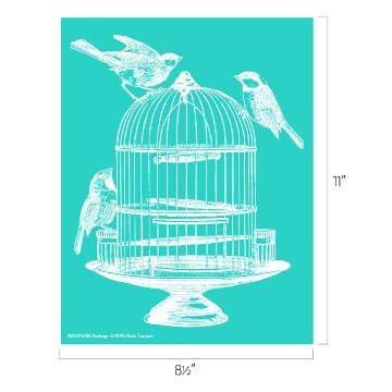 Show details for Birdcage Illustration of three birds perched on a white vintage-style birdcage on a teal background. The dimensions are marked as 8.5 inches by 11 inches.