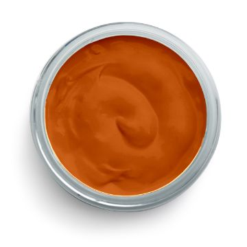 Show details for Marmalade Paste (En Vogue) A round, open container filled with smooth, orange cream or sauce, viewed from above against a white background.