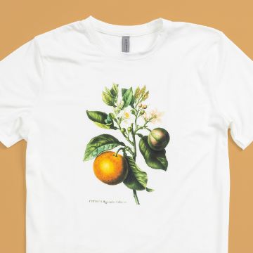 Show details for Citrus Trees Heat Transfer (2-Pack) White t-shirt featuring a vintage botanical illustration of an orange branch with leaves, white flowers, and two fruits—one orange and one green—set against a solid tan background.