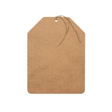 Show details for Simple Tag (9" x 12") A blank brown paper tag with clipped top corners and a twine string tied through a hole at the top, isolated on a white background.