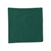 A square piece of dark green fabric, neatly laid flat against a white background.