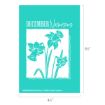 A turquoise card features white illustrations of four narcissus flowers inside a square frame, with the text "DECEMBER Narcissus" above. Dimensions are 6½" tall by 4½" wide.