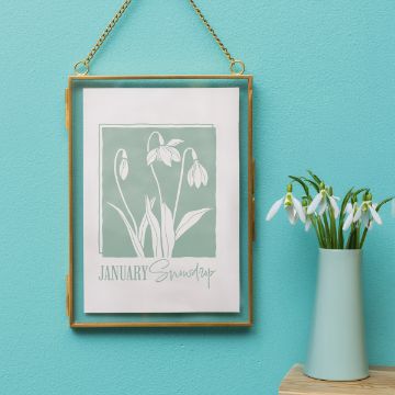 Show details for Snowdrop (January) A framed illustration of snowdrop flowers labeled "January Snowdrop" hangs on a turquoise wall next to a matching vase holding real snowdrops.