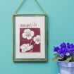 A framed illustration labeled "February Violet" hangs on a teal wall, featuring violet flowers in maroon and white. Next to it sits a potted violet plant with vibrant purple blooms.