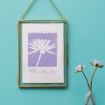 A gold-framed picture of a white water lily with "July Water Lily" written below hangs on a turquoise wall; nearby is a glass vase with two blooming water lilies.