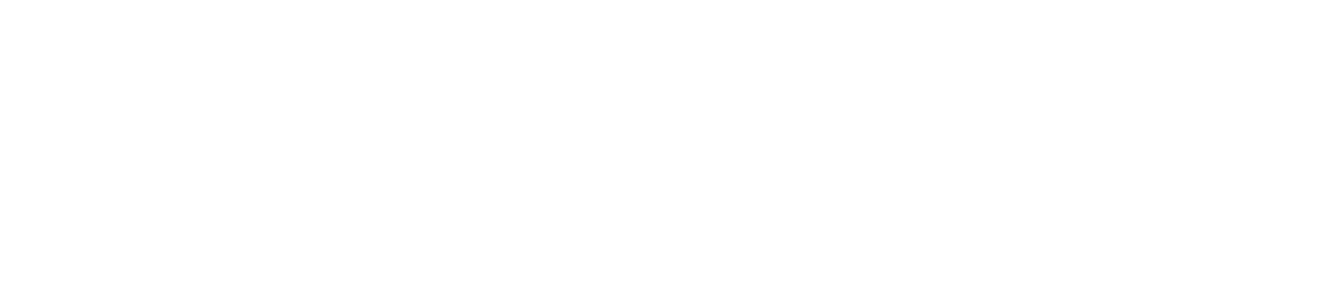 White script text reads "Holiday 2025 Collection" with a holly leaf and berry graphic on the left, all on a light gray background.