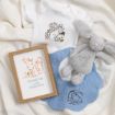 A baby onesie with a squirrel print, a wooden-framed picture of a fox with "Planted with Purpose," a blue cloth with a mouse print, and a gray plush bunny are arranged on a textured cream blanket.
