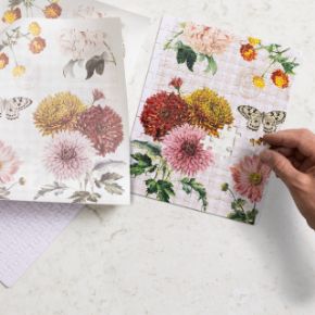 Image Alt Text Format