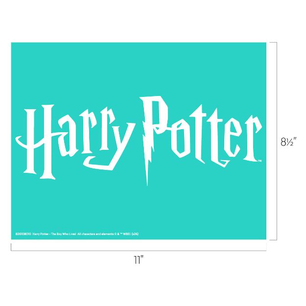 Teal background featuring the white "Harry Potter" logo with a lightning bolt as the "P," along with dimensions labeled as 11 inches wide and 8.5 inches tall.