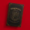A black book with gold ornate detailing and the Hogwarts crest on the cover, reading “Hogwarts School of Witchcraft & Wizardry,” set against a solid red background.