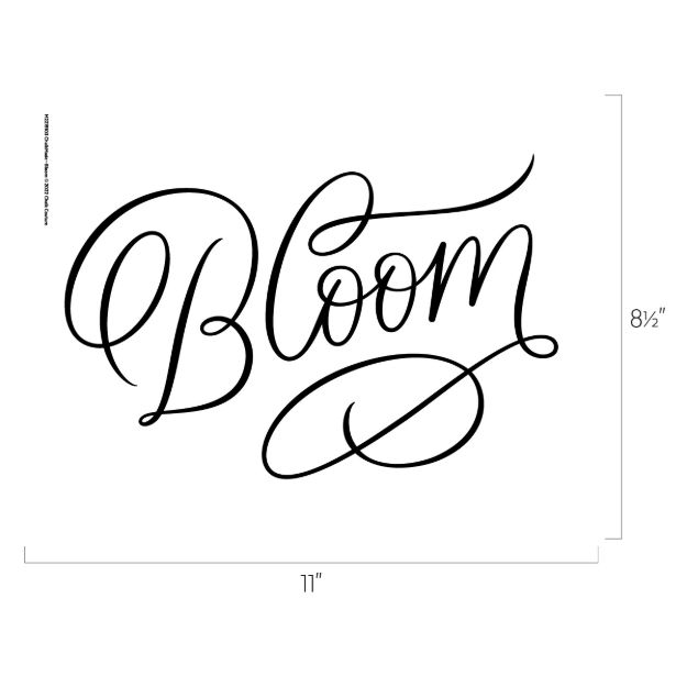 Image placeholder with text "No Image" in the center, featuring a grey background and a faint outline of a camera icon.