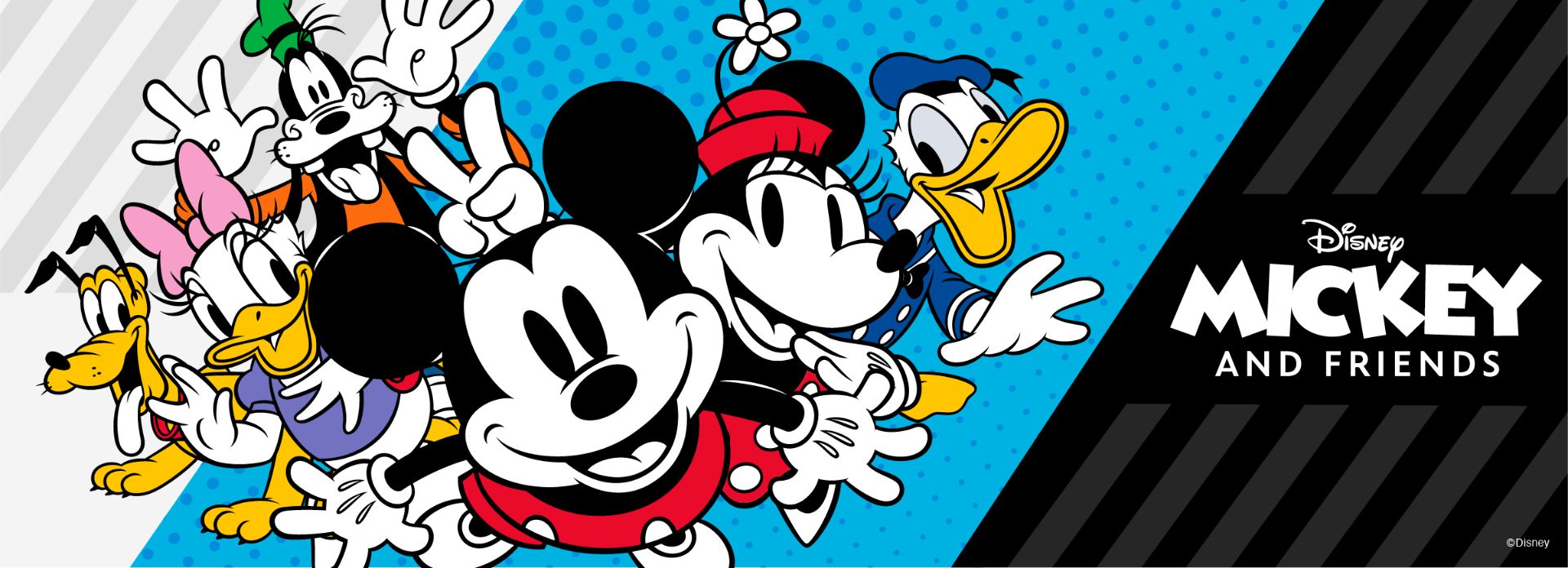 Disney cartoon characters Mickey Mouse, Minnie Mouse, Donald Duck, Daisy Duck, Goofy, and Pluto pose together smiling against a colorful background with the text "Disney Mickey and Friends" on the right side.