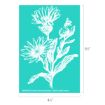 White etched illustration of summer flowers and leaves on a teal background. The design measures 6.5 inches tall by 4.5 inches wide. Text at the bottom reads, “A26405073 Etched Summer Splendor © 2026 Chalk Couture.”.