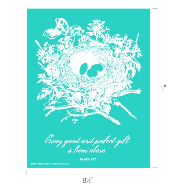 Illustration of a bird’s nest with three eggs and surrounding branches on a teal background. Below the nest, text reads: “Every good and perfect gift is from above. James 1:17.” Dimensions: 8.5"x11".