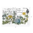 A vintage receipt with handwritten text is overlaid with botanical illustrations of yellow, blue, and white flowers and green leaves. The overall style is artistic and nostalgic, with layered typographic and floral elements.