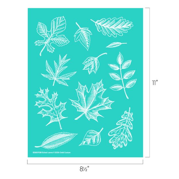 A teal sheet featuring twelve white, etched-style illustrations of various leaf types. The sheet measures 8.5 inches wide by 11 inches tall.