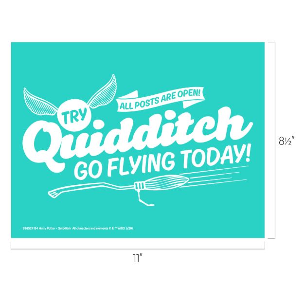 Teal poster with white text: "Try Quidditch. All posts are open! Go flying today!" Includes drawings of a broomstick and golden snitch. Poster measures 11 inches by 8.5 inches.