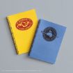 Two spiral notebooks: one yellow with a "Hogwarts Flying Lessons" logo, and one blue with a "Defence Against the Dark Arts" logo featuring a hand holding a wand, both on a gray surface.