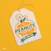 A pumpkin-shaped wooden tag with “PEANUTS Pumpkin Patch! Pick Your Own!” and Snoopy graphics, on a yellow background.