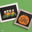 Two framed artworks: one shows Peanuts characters in a pumpkin patch; the other features a large pumpkin with the text “It’s the Great Pumpkin, Charlie Brown.” Both frames rest on a green surface.