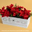 A white rectangular box with Winnie the Pooh illustrations holds red poinsettias and green foliage, set against a yellow background.