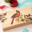 A wooden box features a painted red bird, likely a cardinal, perched among green leaves and branches. Art supplies, including paint, brush, and stencil, are visible in the background.